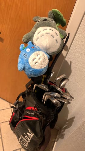 Customer photo review of Chu Totoro | Wood Cover