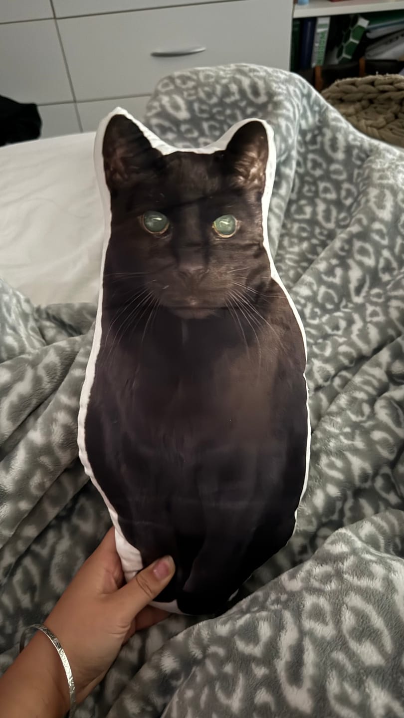 Customer photo review of Custom Shaped Pillow with Loved One Picture of Person/Pet Personalized 3d Photo Pillow