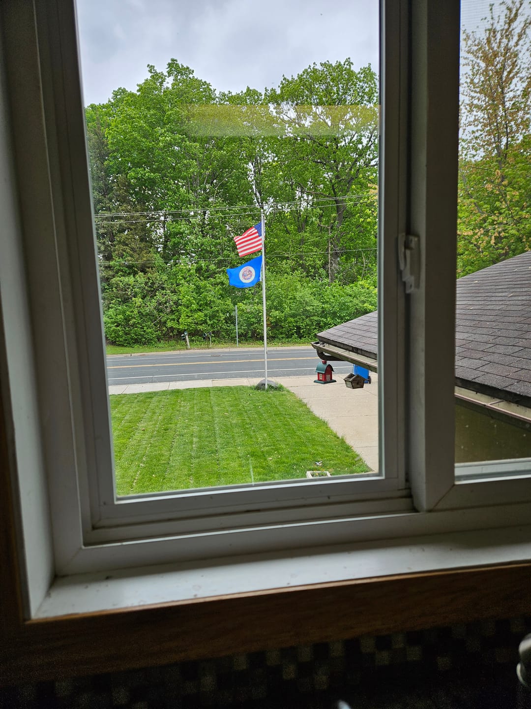 Customer photo review of State of Minnesota Flag - Old Style