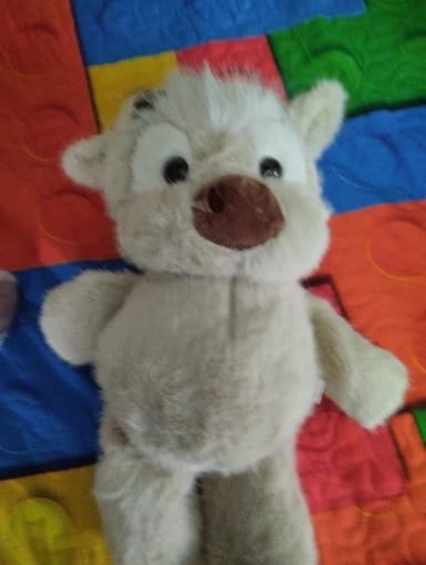 Customer photo review of Coco-Hug™ El peluche que corre