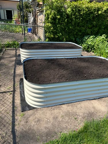 Customer's two light-colored 17” Tall Modular raised beds assembled in a backyard and filled with soil.
