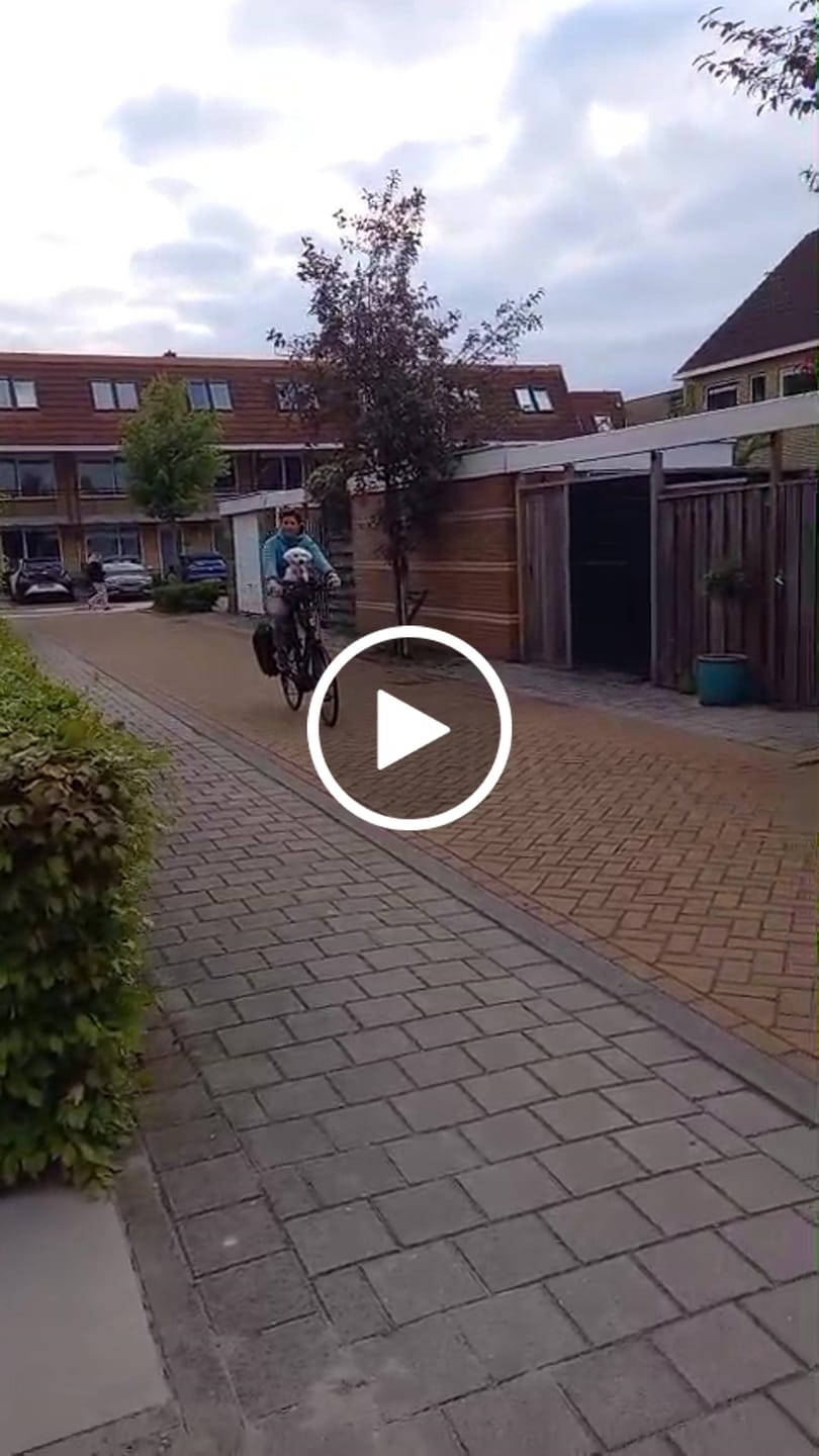 Customer video review of Kvisp Dog Bike Carrier