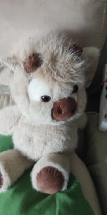 Customer photo review of Coco-Hug™ El peluche que corre