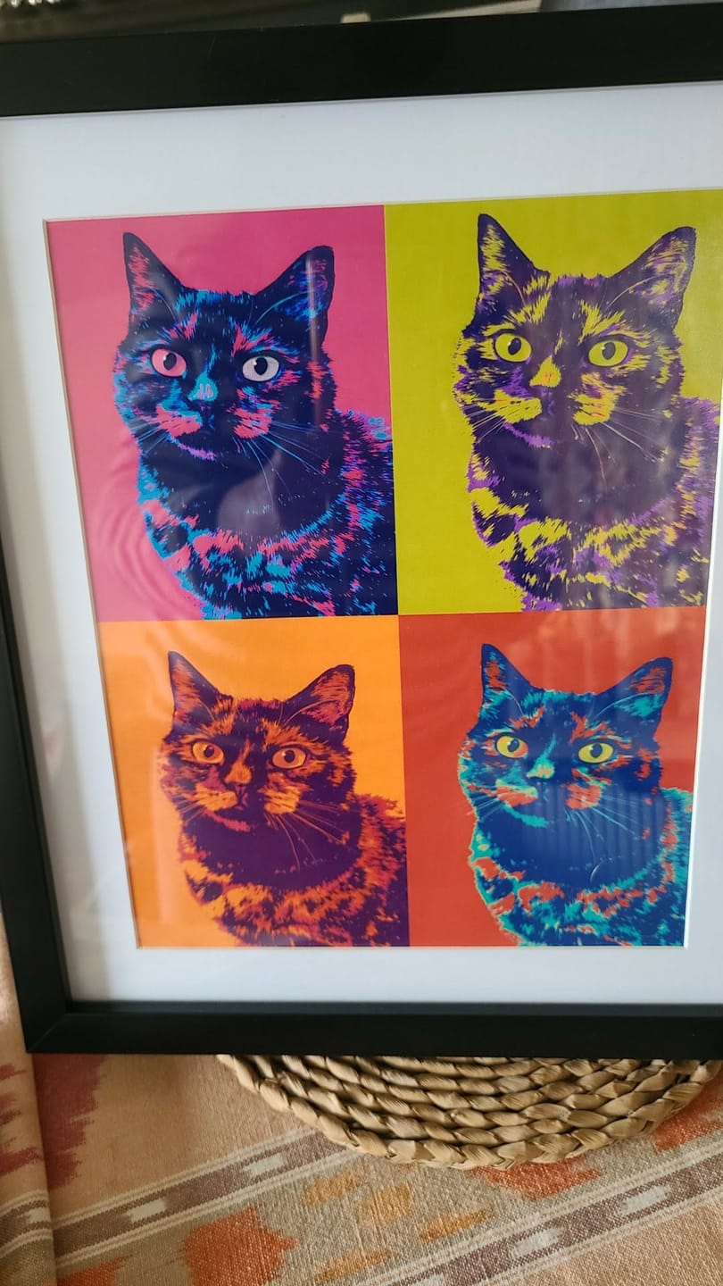 Customer photo review of Personalised Poster With Dog or Cat - Colour Squares