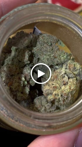 Customer video review of Ghost Train Haze THCA Flower