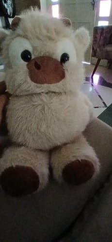 Customer photo review of Coco-Hug™ El peluche que corre