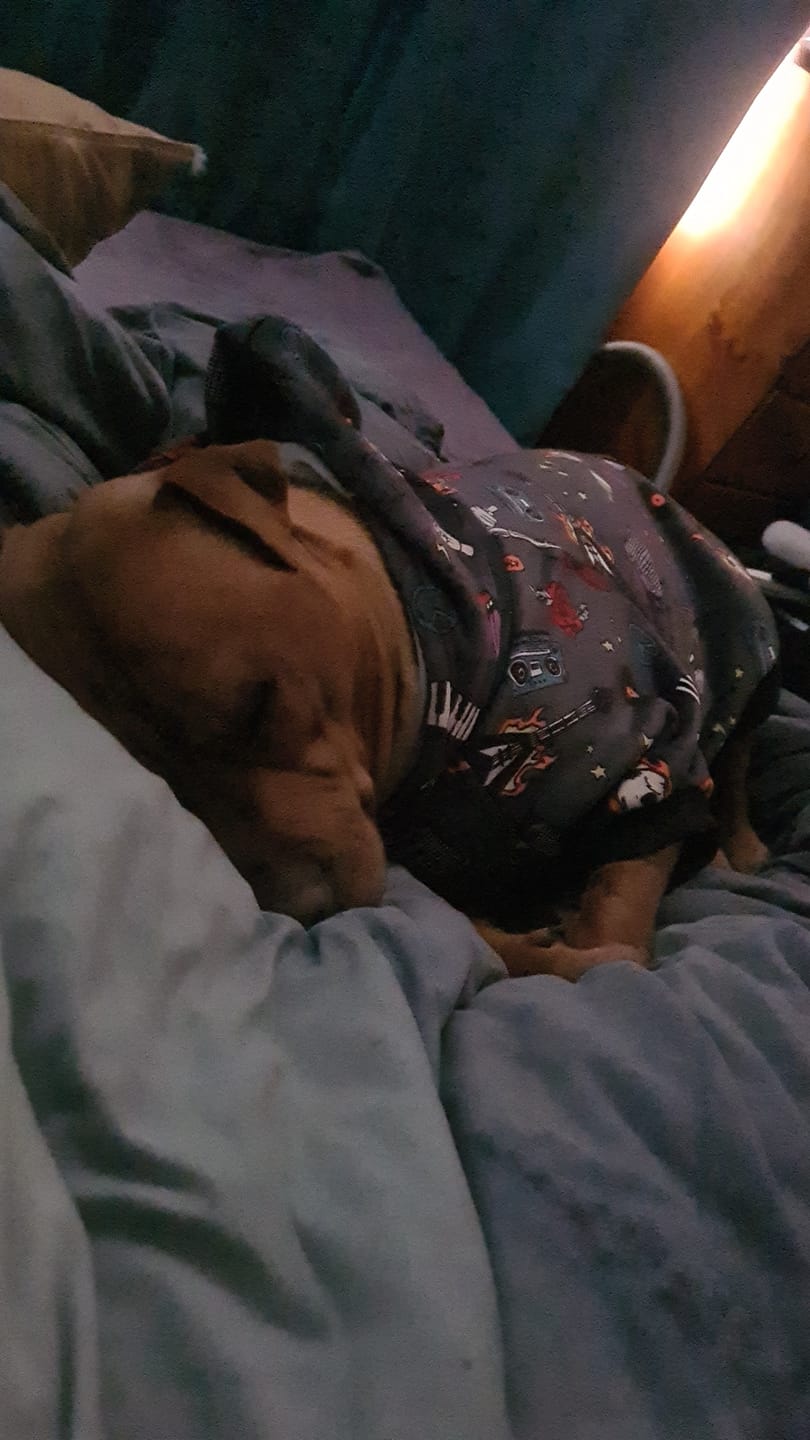 Customer photo review of Rock and Roll Dog Hoodie
