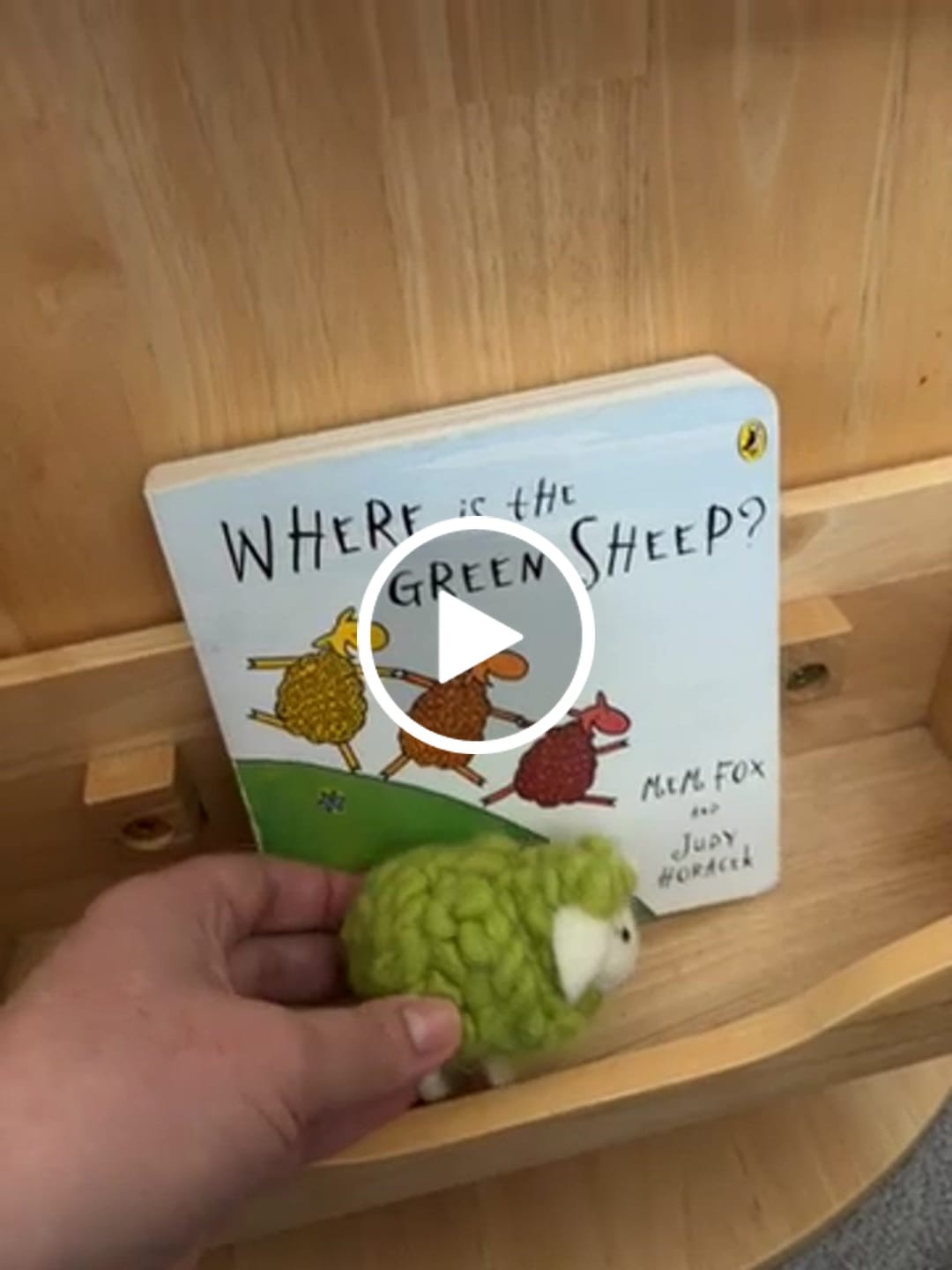 Customer video review of Felt Green Sheep Toy