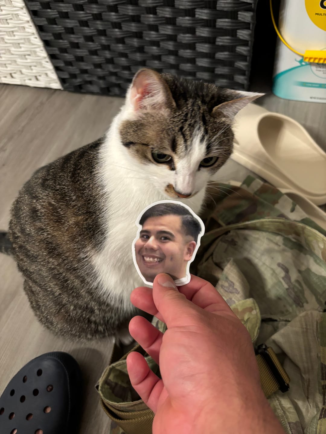 Customer photo review of Custom Sticker Sale - 3"
