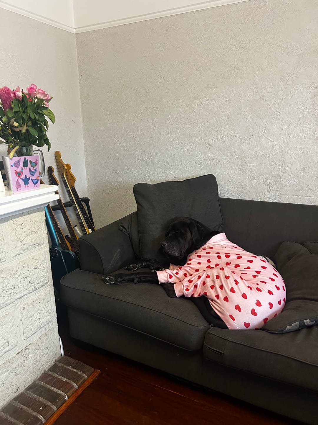 Customer photo review of Dog Pajama - Pink Hearts