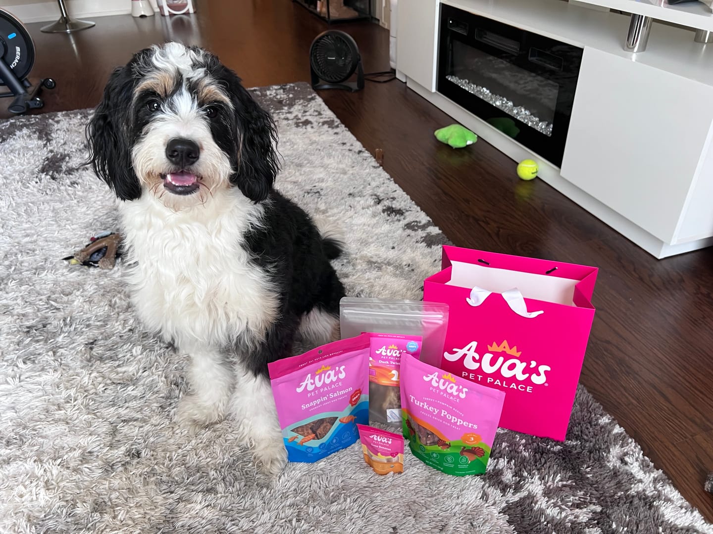 Customer photo review of Freeze Dried Dog Treats - Turkey Poppers