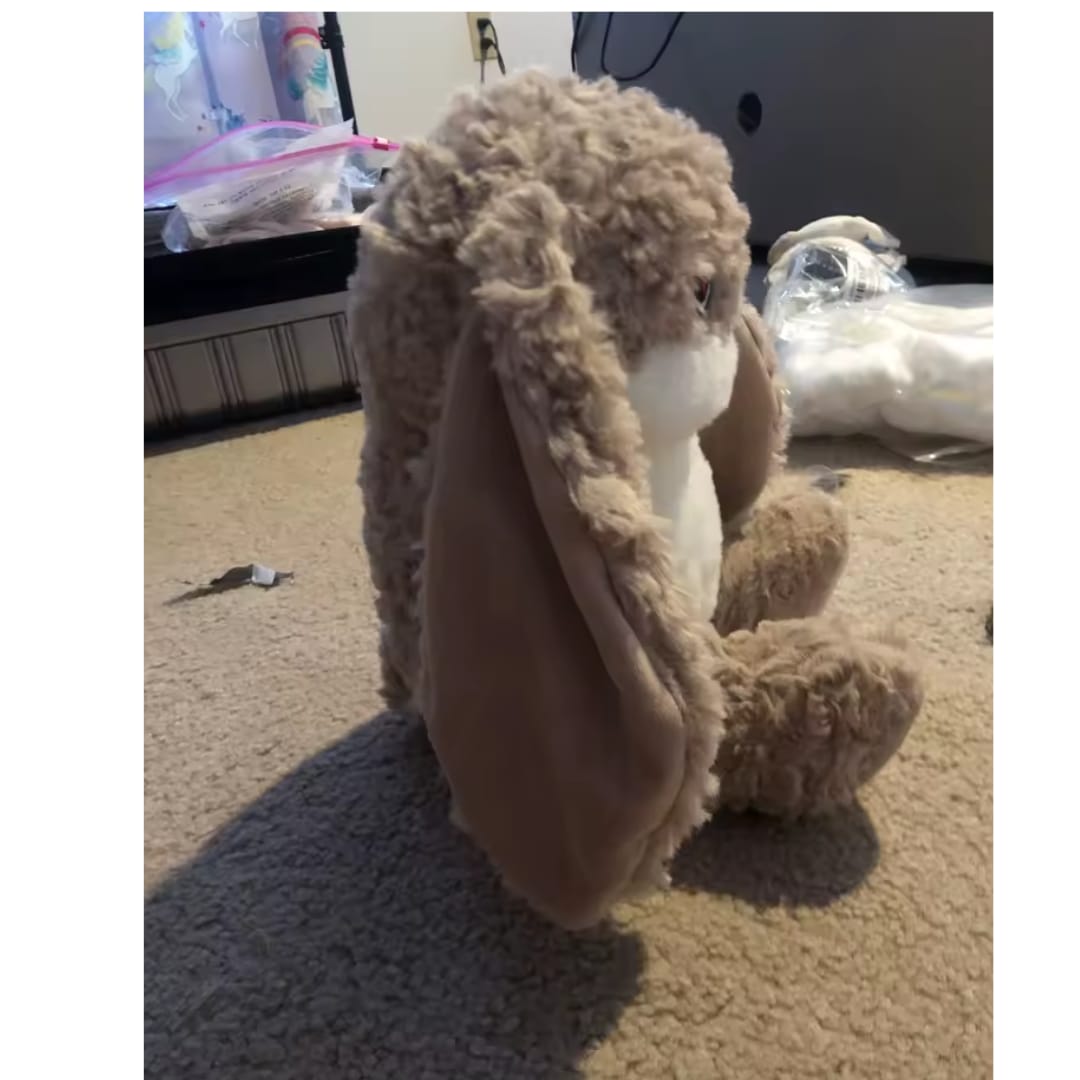 Customer photo review of Peluche tierno y enojado