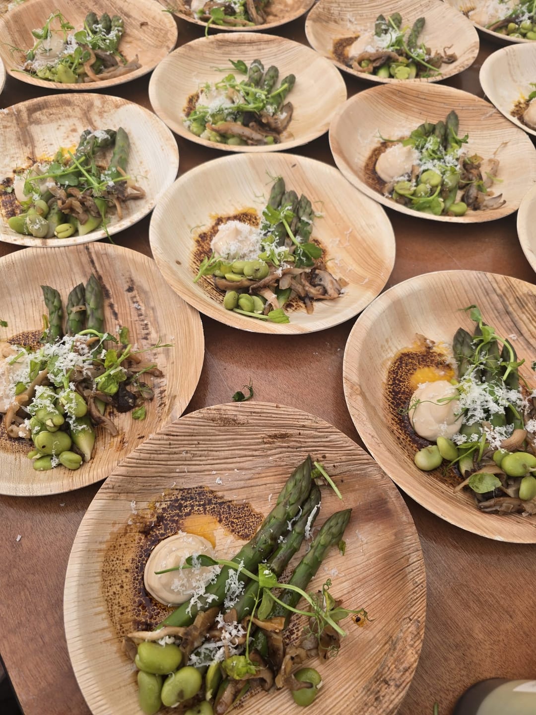 Customer photo review of Round Palm Leaf Plates 15-30cm | Premium Eco-Friendly Disposable Plates | 6 Sizes