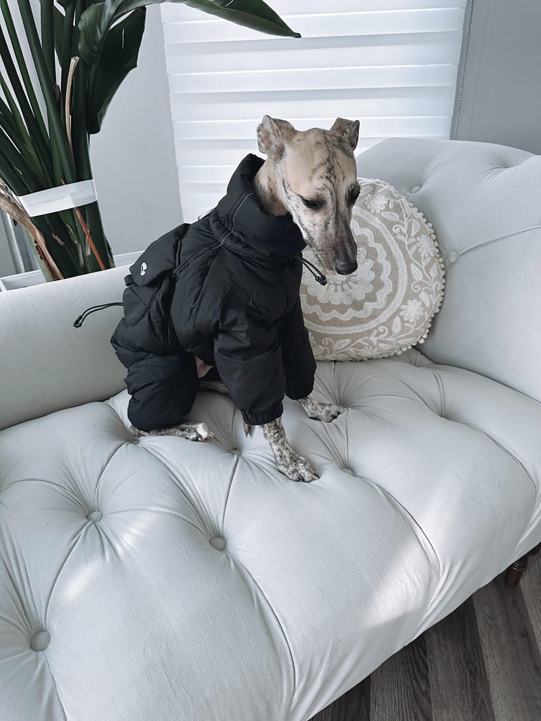 Customer photo review of Winter Polar Down Suit