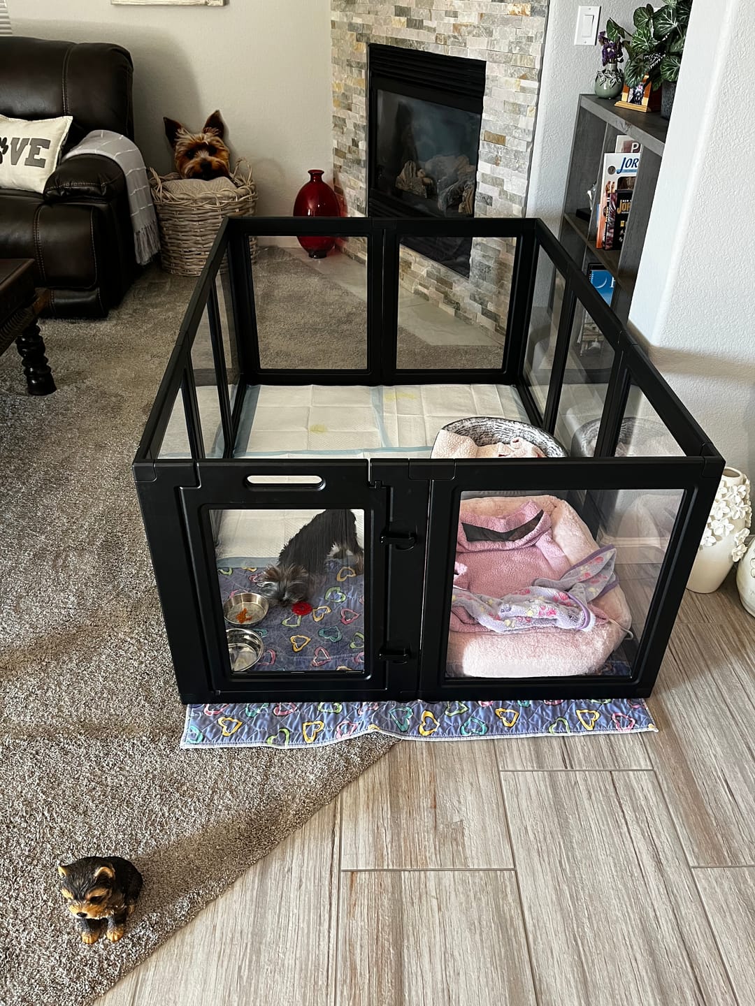 Customer photo review of AuraSpace Acrylic Indoor Dog Playpen for Small to Medium Dogs