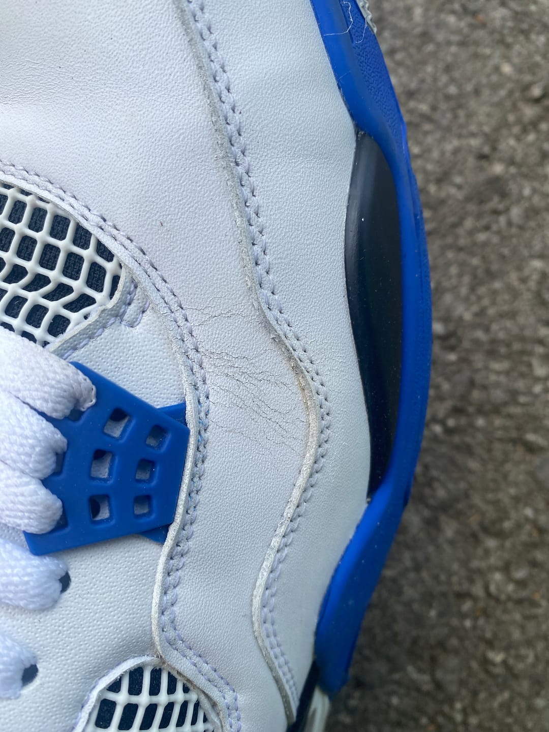 Customer photo review of Jordan 4 Retro 'Motorsports'