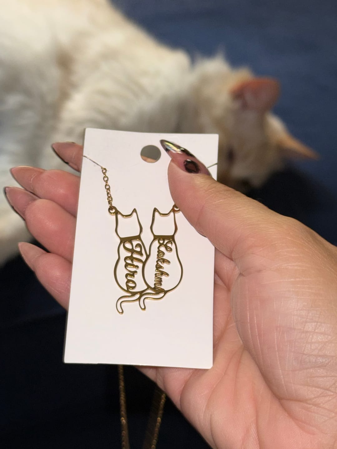 Customer photo review of Collar personalizado con nombre de gato