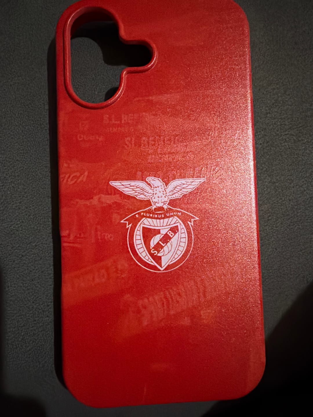 Customer photo review of SL Benfica Official Case -Stadium Atmosphere