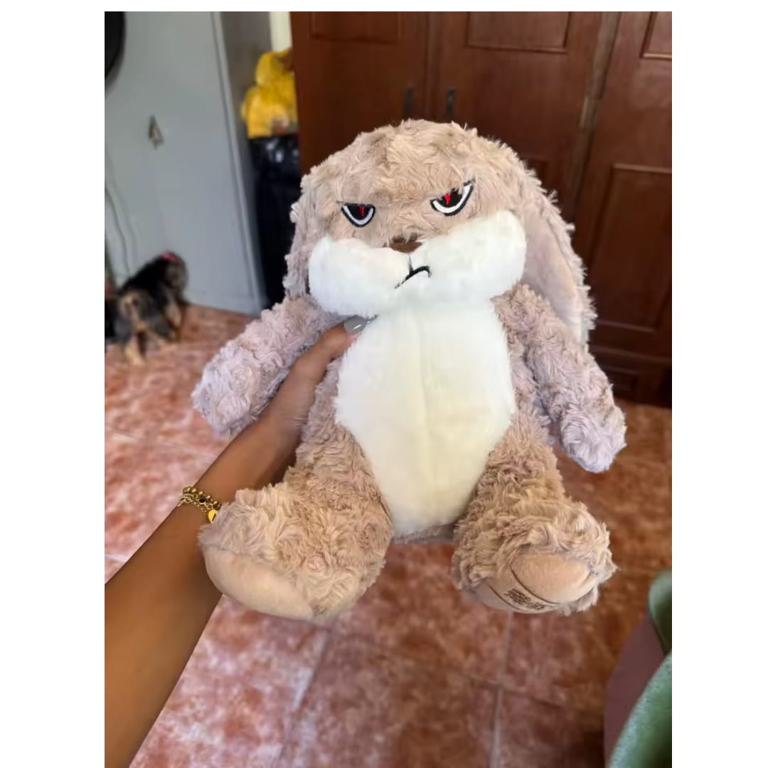 Customer photo review of Peluche tierno y enojado