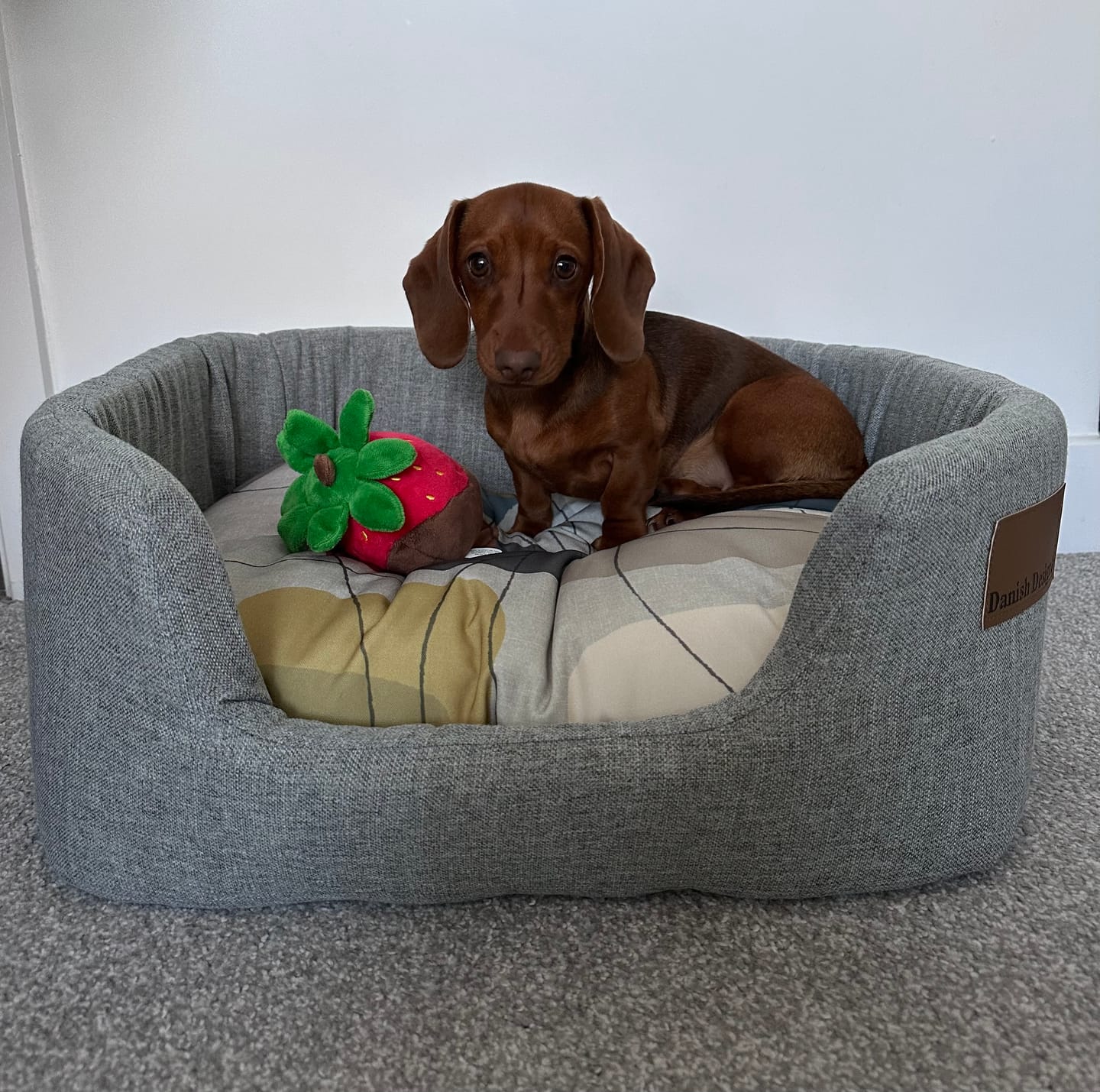 Customer photo review of Danish Design Colour Block Lux Slumber Bed