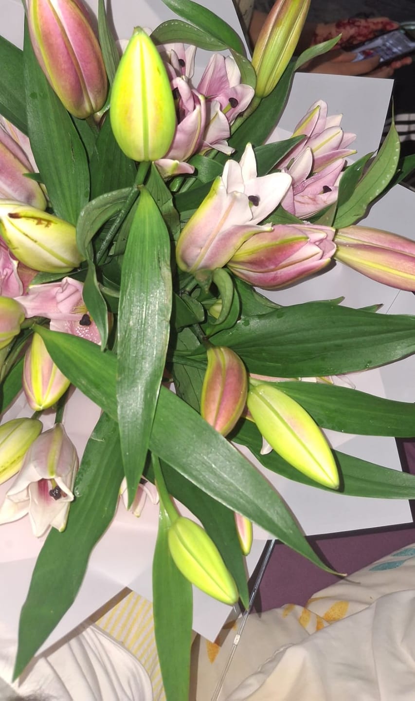 Customer photo review of Premium Pink Lily Bouquet | 7 Stems