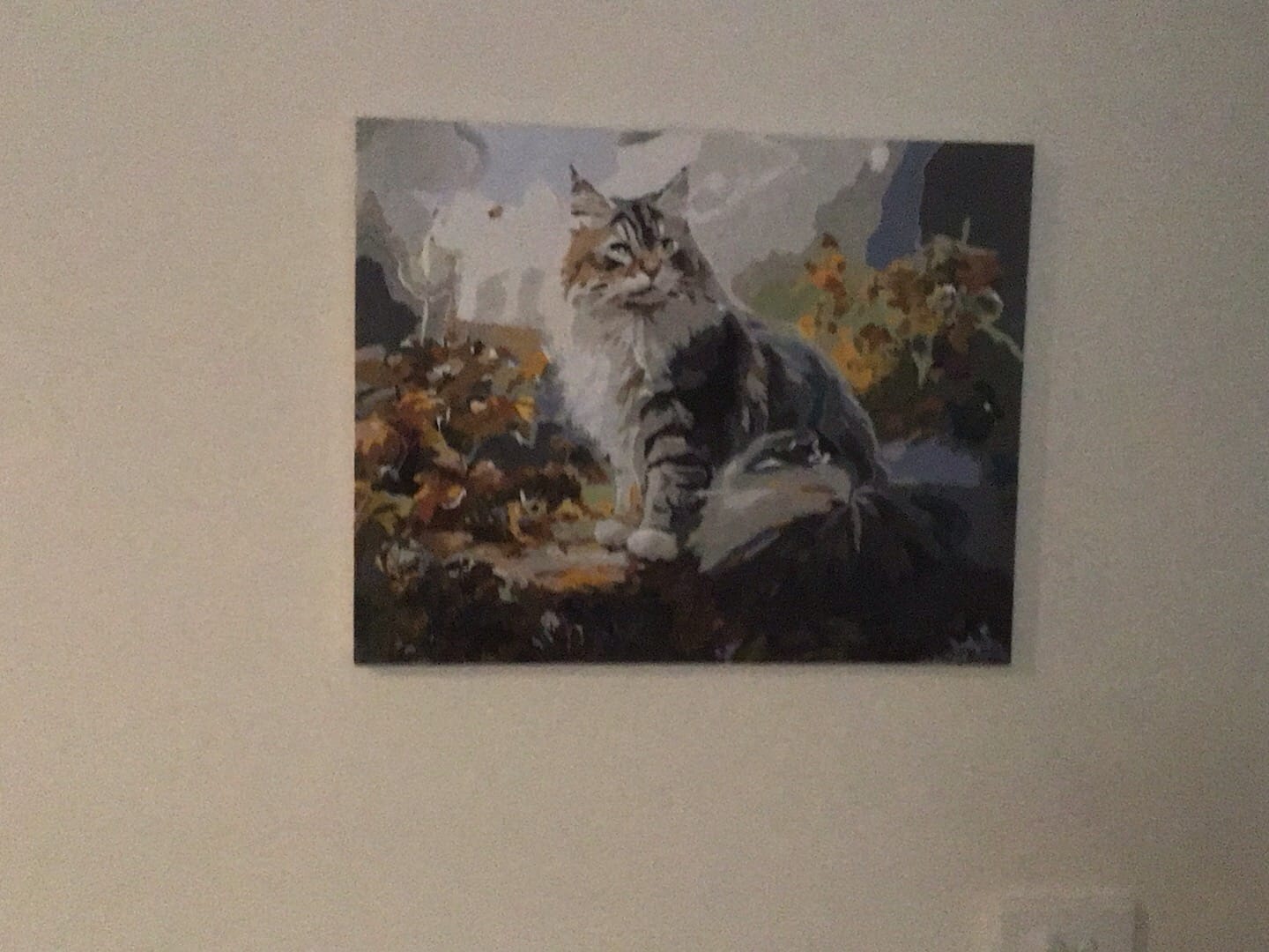 Customer photo review of Abstract Maine Coon