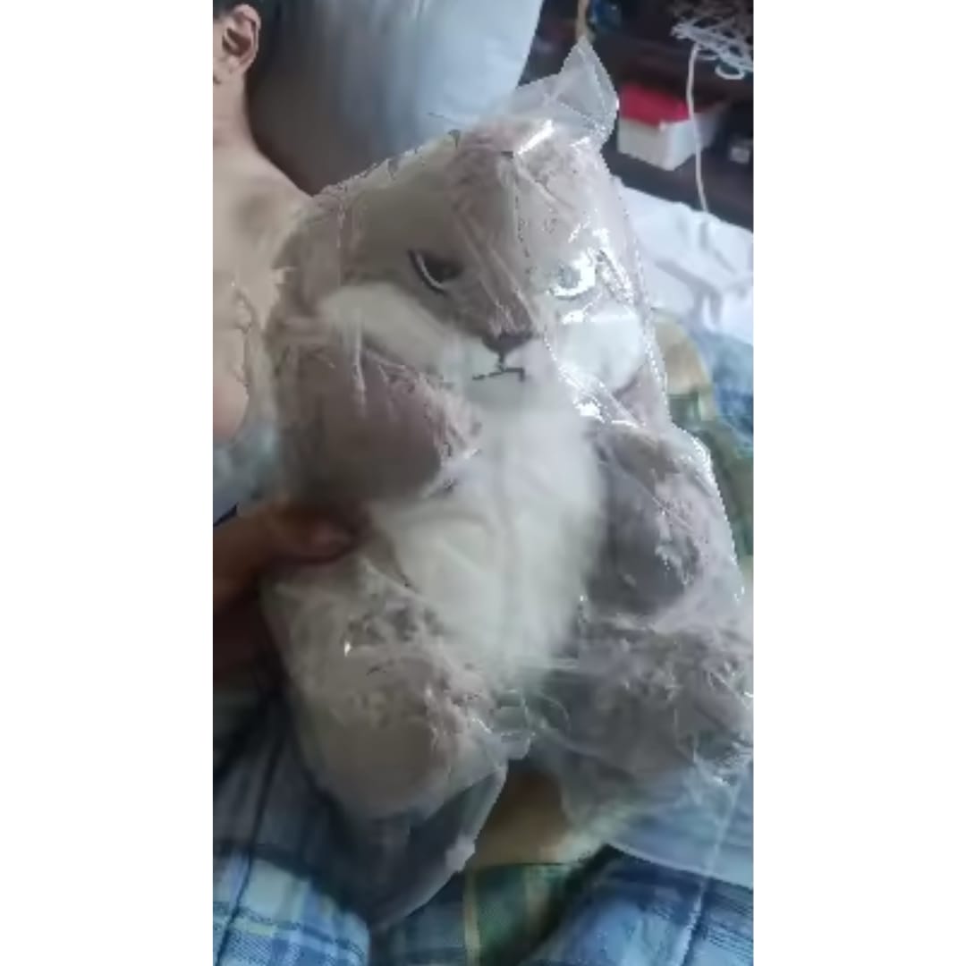 Customer photo review of Peluche tierno y enojado