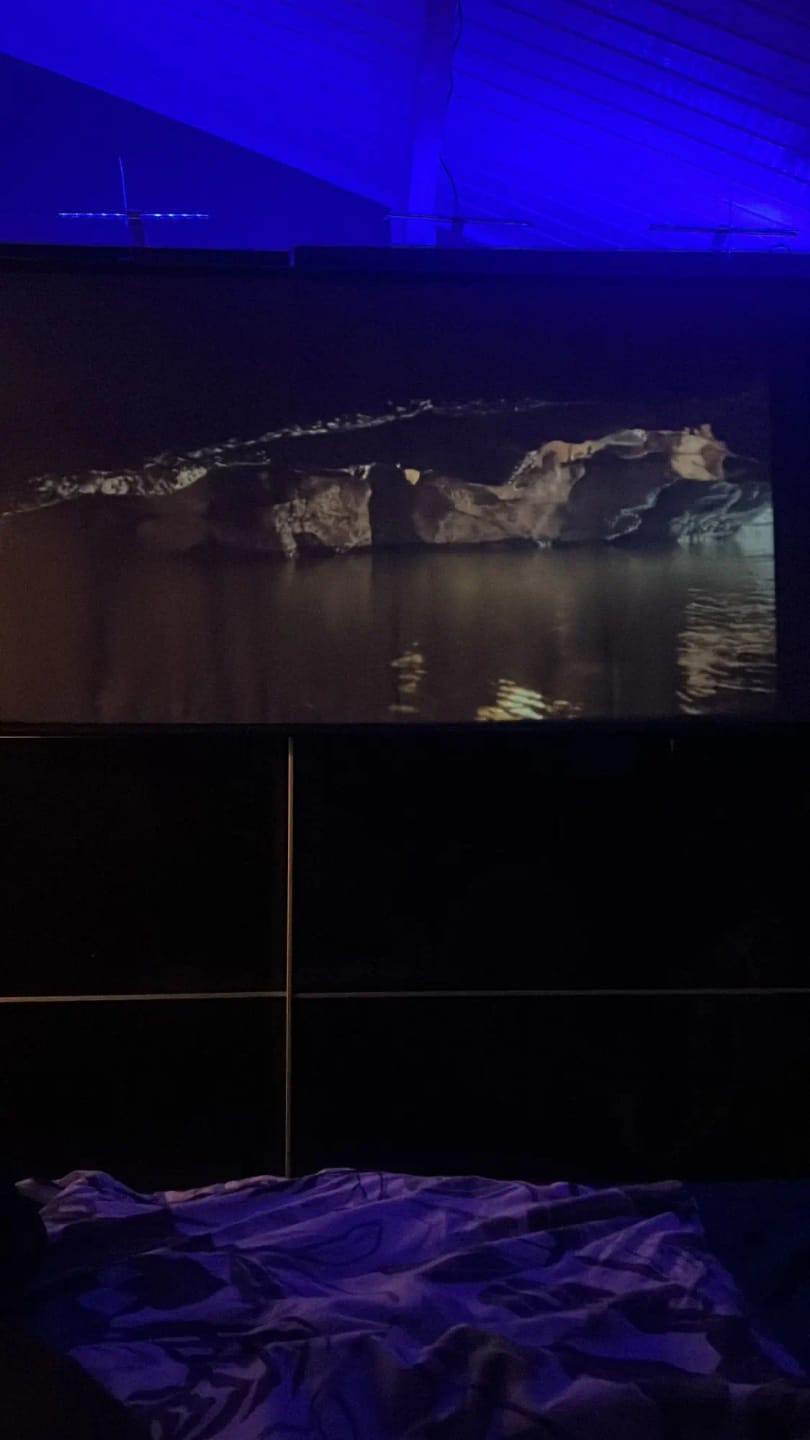 Customer photo review of Proyector 4K
