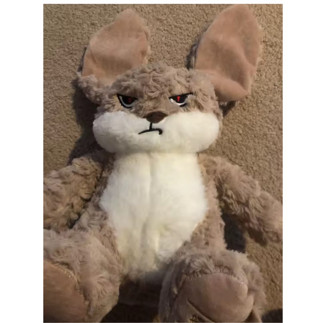Customer photo review of Peluche tierno y enojado
