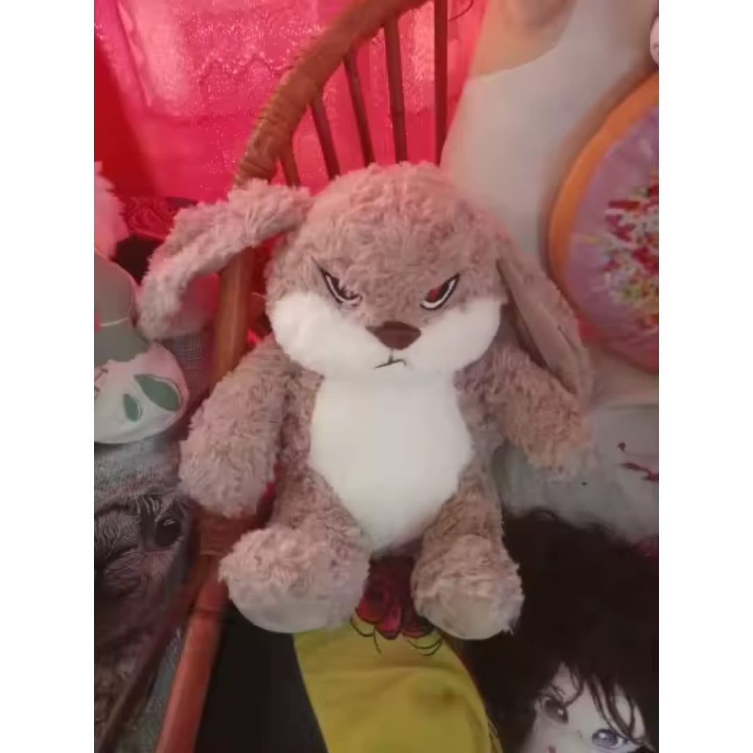 Customer photo review of Peluche tierno y enojado