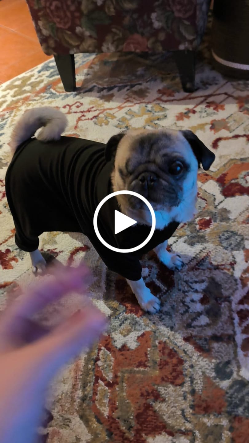 Customer video review of Primera Capa Térmica Power Stretch™