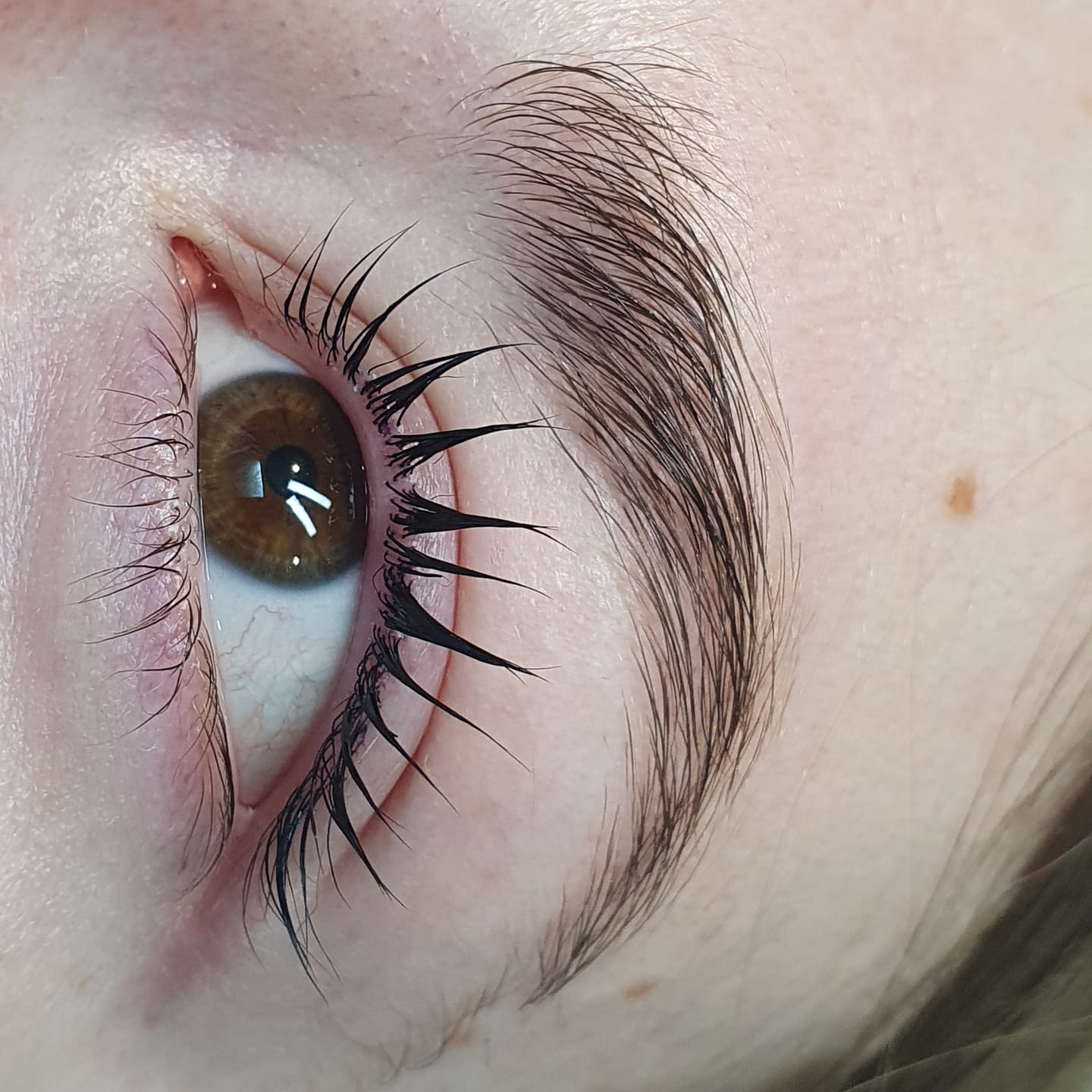 Customer photo review of Lashlift Refill Pack
