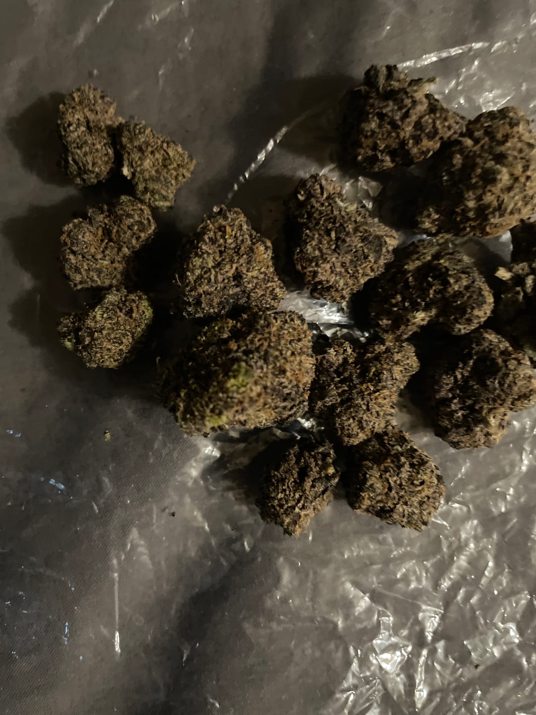 Customer photo review of Black Cherry Runtz Indoor - Bulk - Indica