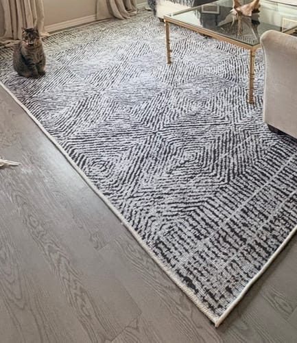 Customer photo review of Contemporary Lauro in Grey Rug