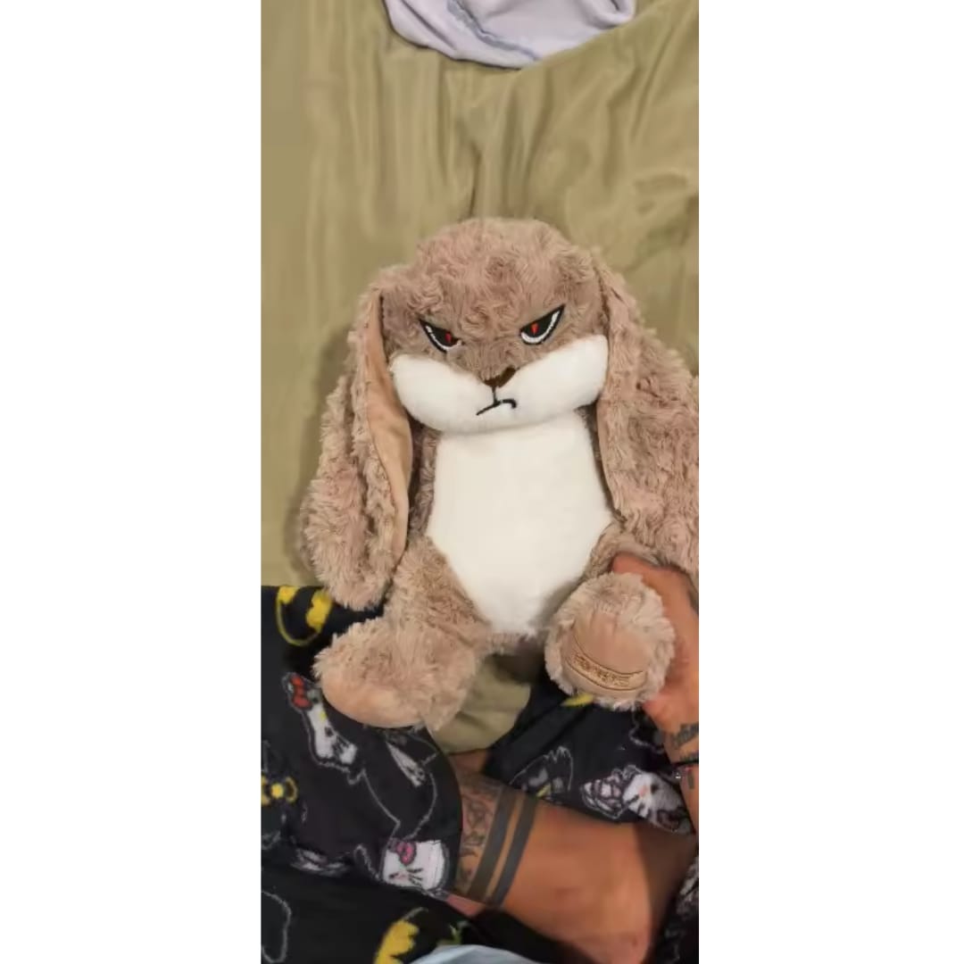 Customer photo review of Peluche tierno y enojado