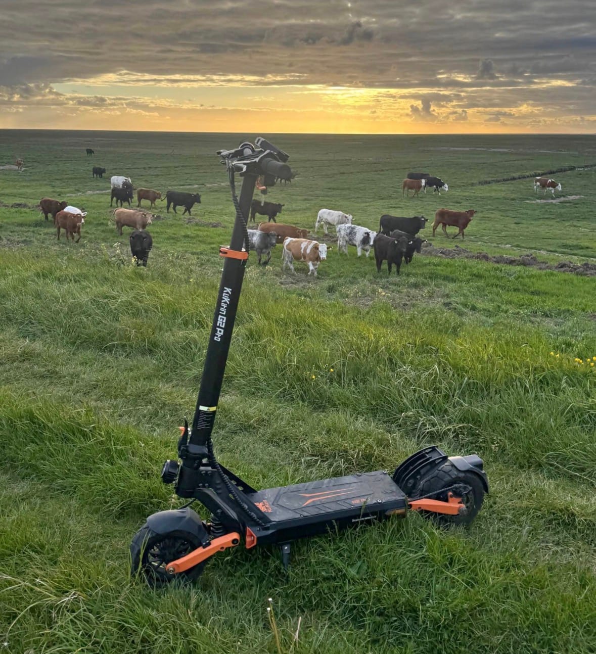 Customer photo review of KuKirin (Kugoo) G2 Pro Electric Scooter
