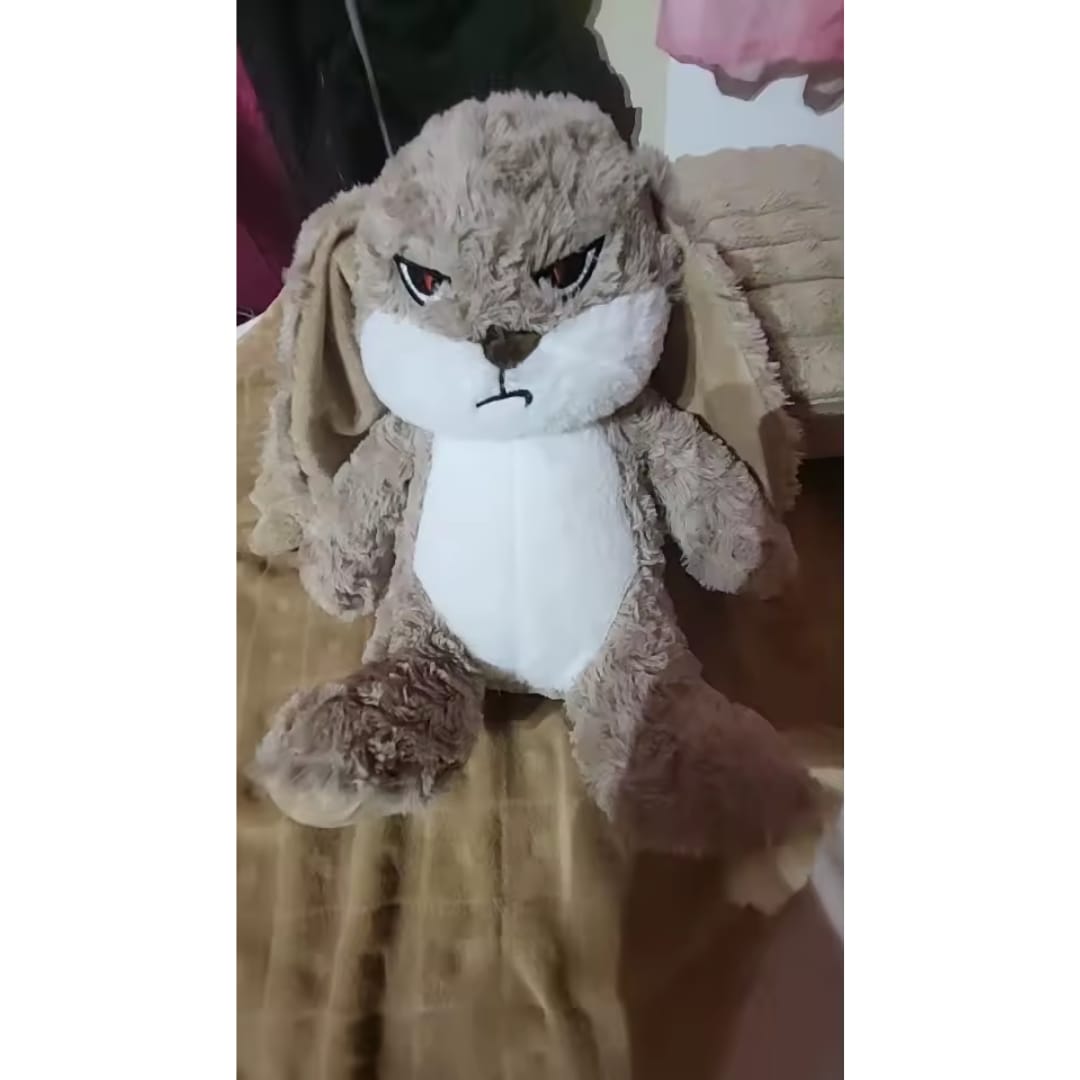 Customer photo review of Peluche tierno y enojado