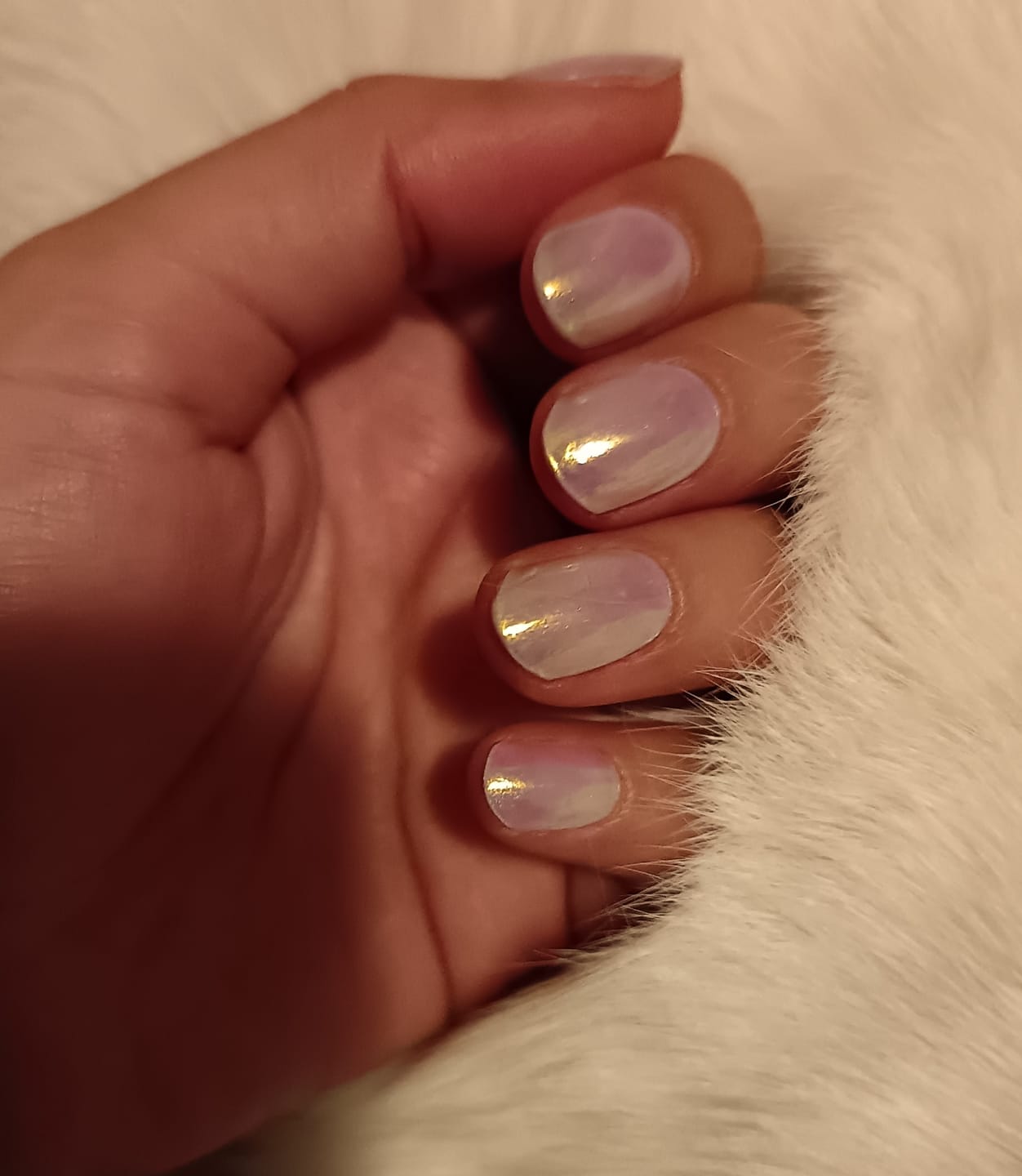 Customer photo review of Tornasol | Stickers de Gel