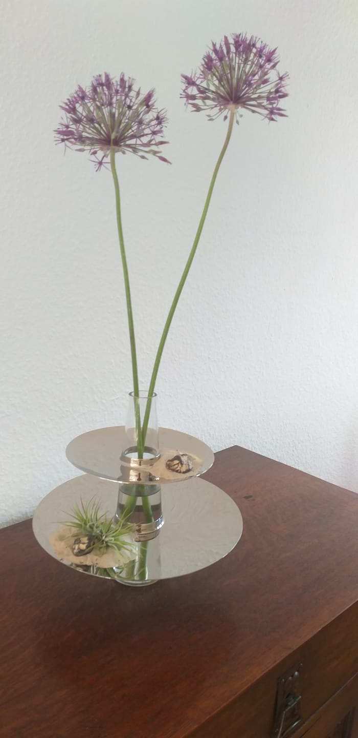 Customer photo review of Tillandsia ionantha