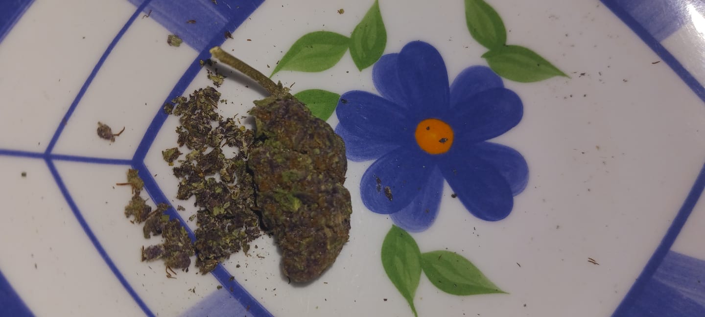 Customer photo review of Granddaddy Purple - 14 Grams - Indica