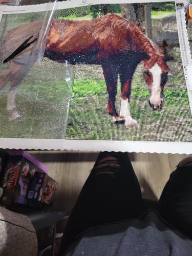 Customer photo review of Diamond Painting - Surprise Picture