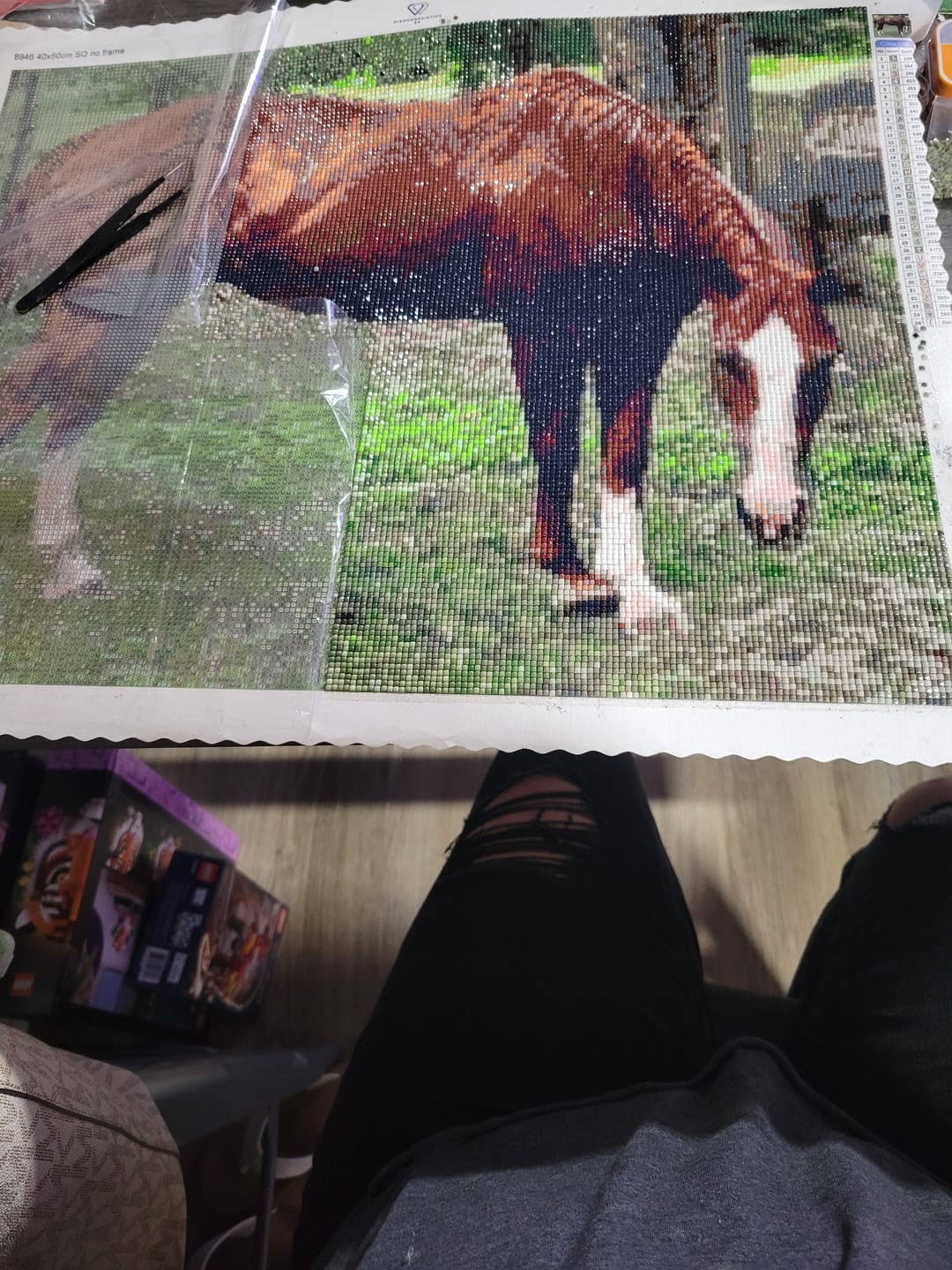 Customer photo review of Diamond Painting - Surprise Picture