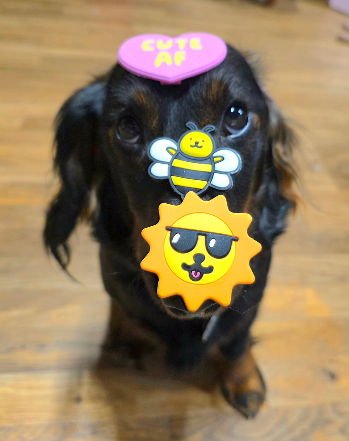 Customer photo review of Cute AF Pink Jiby Dog Charm