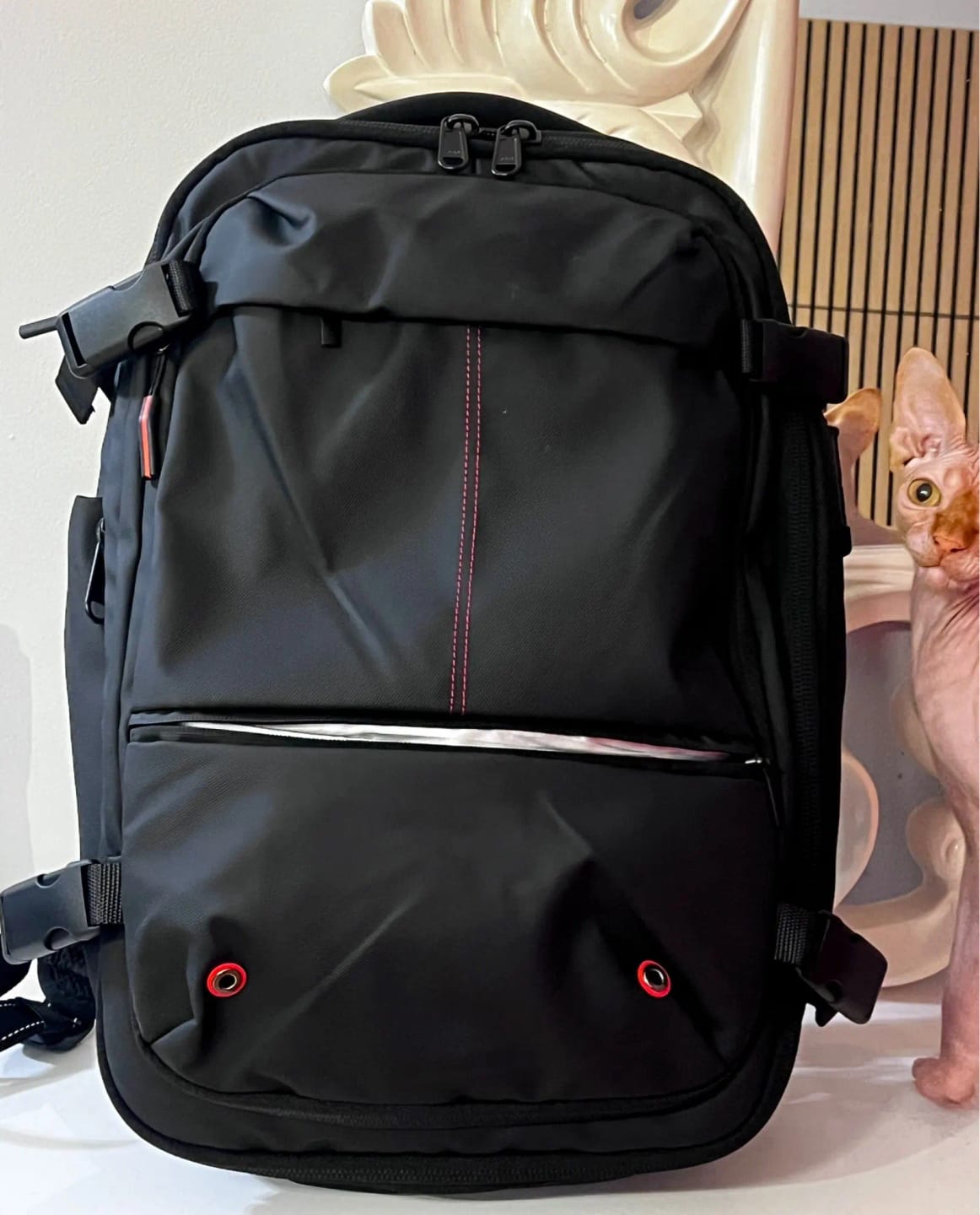 Customer photo review of Sac à dos BAGLIO MinimaX™ Voyager
