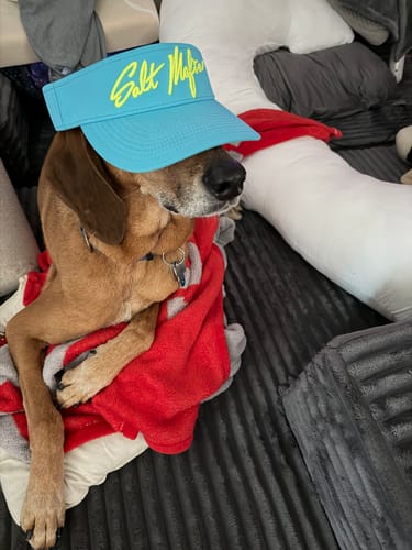 Customer photo review of THE VICE 2.0 (visor)