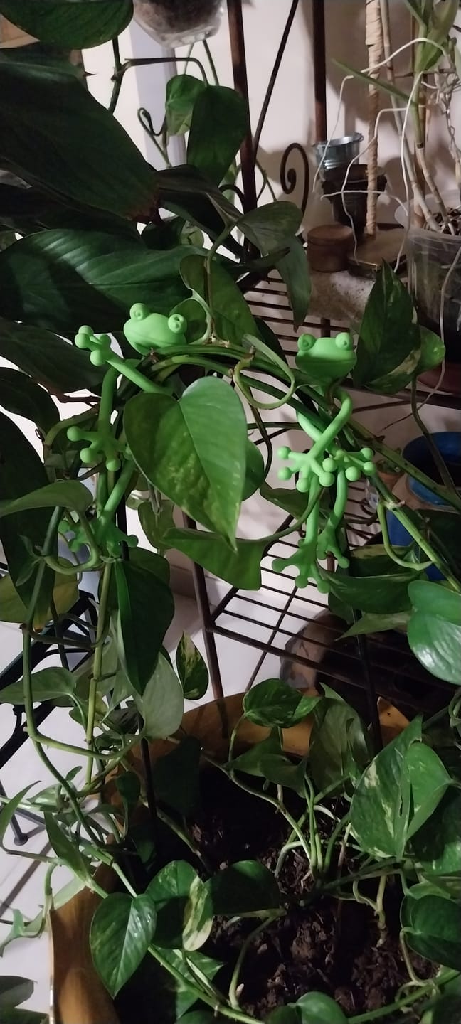 Customer photo review of Mamie Frog®