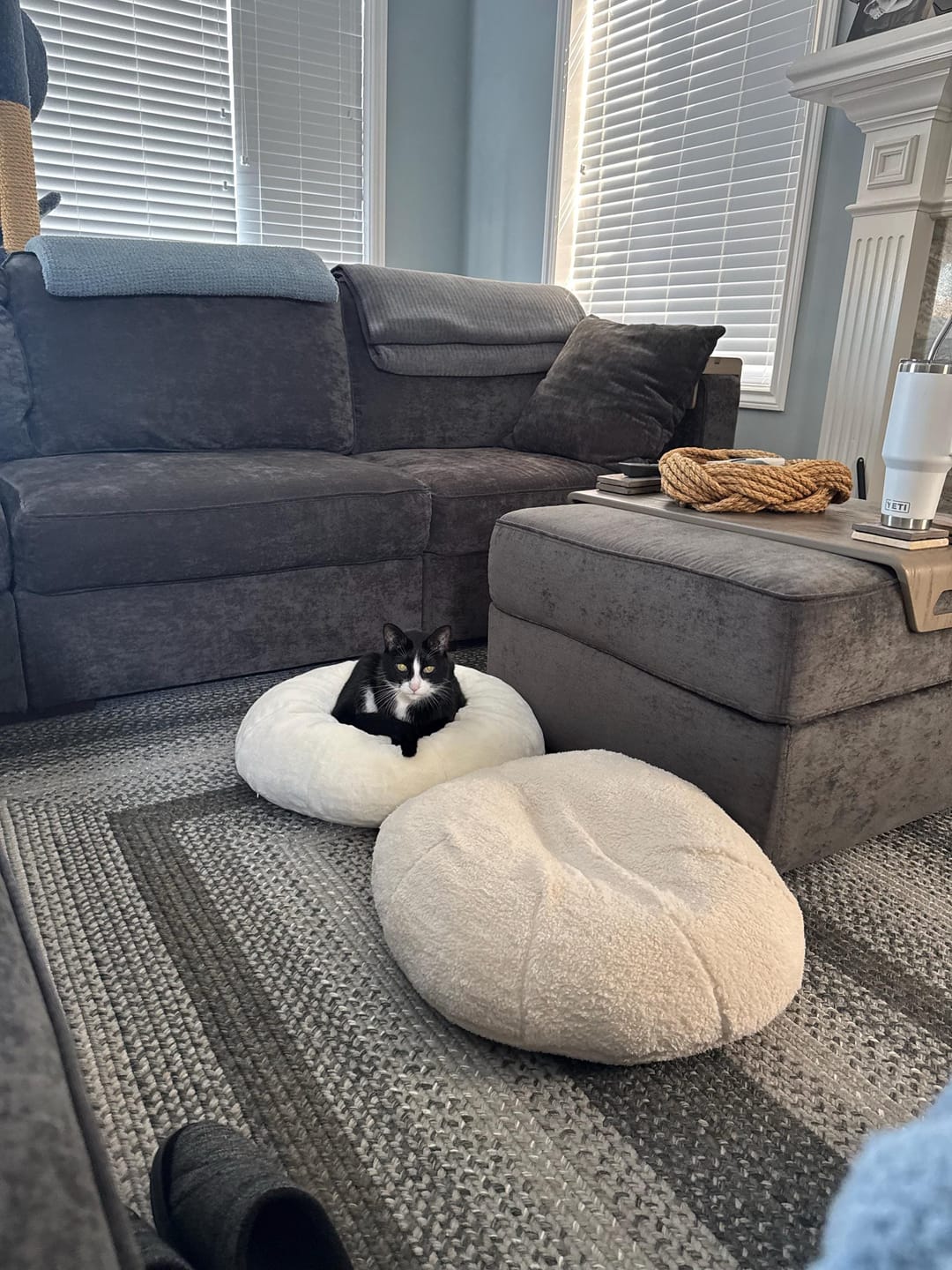 Customer photo review of Marshmallow Pudding Bed