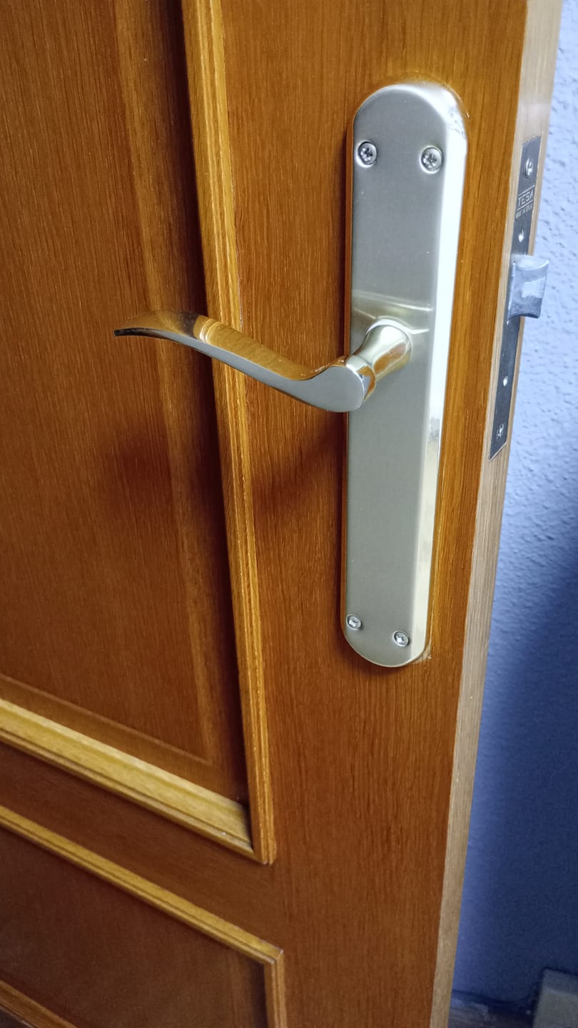Customer photo review of Moderna manilla modelo '890' con placa ovalada de aluminio acabado dorado satinado para puertas