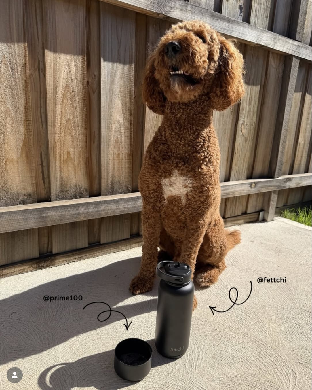 Customer photo review of The Fettchi Bottle - Beige