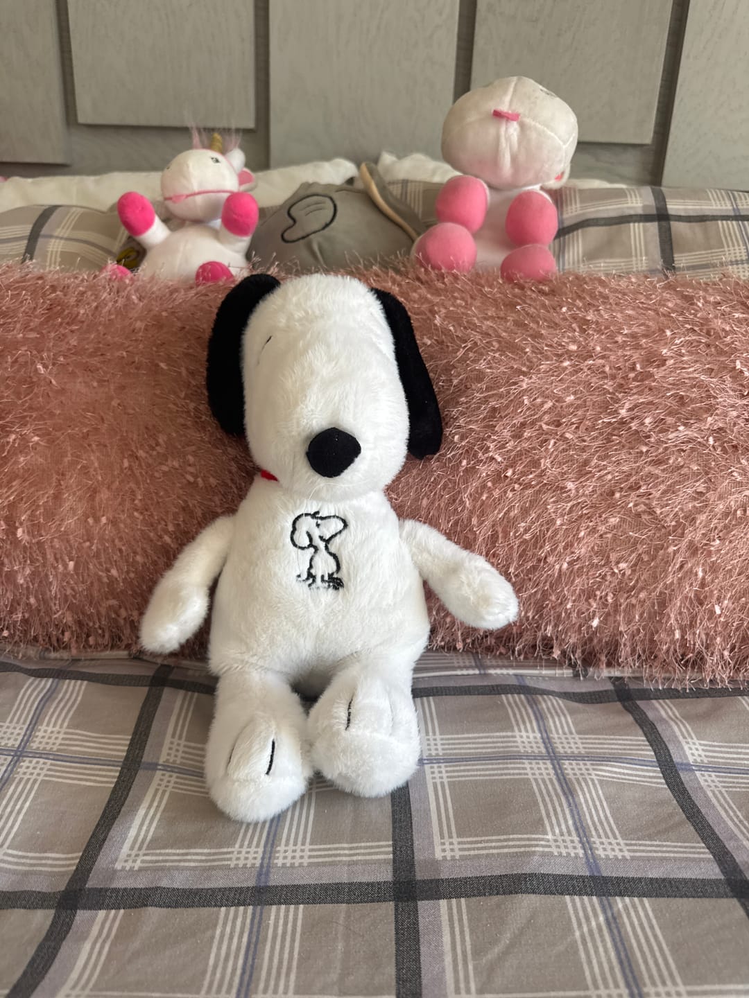 Customer photo review of El Original SnoopyCalm®